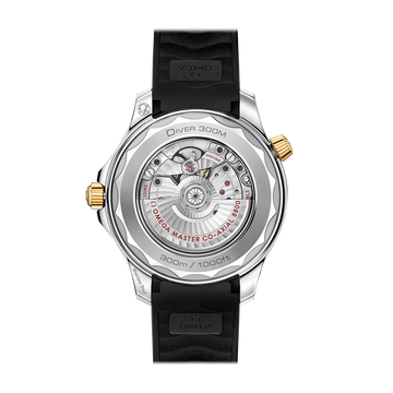 OMEGA Seamaster Diver 300M 210.22.42.20.01.001