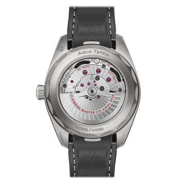 OMEGA Seamaster Aqua Terra GMT Worldtimer 220.92.43.22.99.001