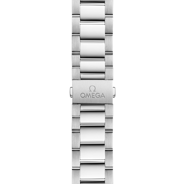 Omega Seamaster Aqua Terra Co-Axial Master Chronometer 220.10.41.21.03.002