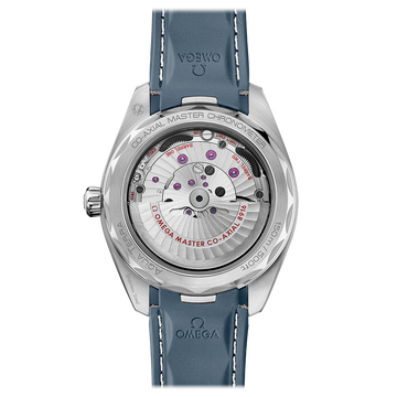 OMEGA Seamaster Aqua Terra 220.12.41.21.03.005