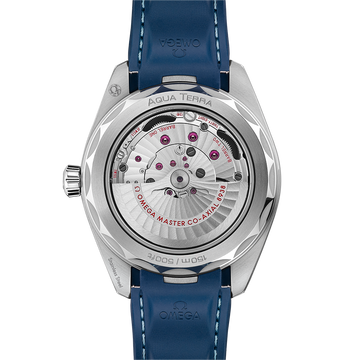OMEGA Seamaster Aqua Terra 220.12.43.22.03.001