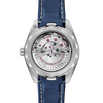 OMEGA Aqua Terra 220.12.41.21.03.007