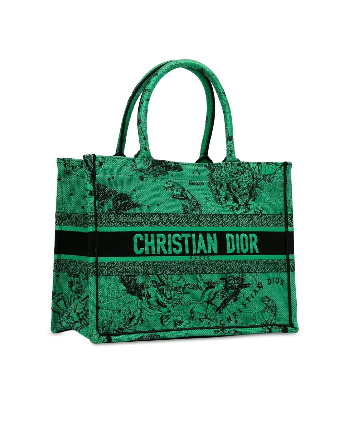 Dior Book Tote Zodiac Green