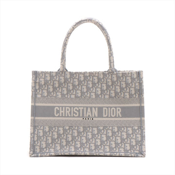 Christian Dior Book Tote Small Linen Tote Bag Grey