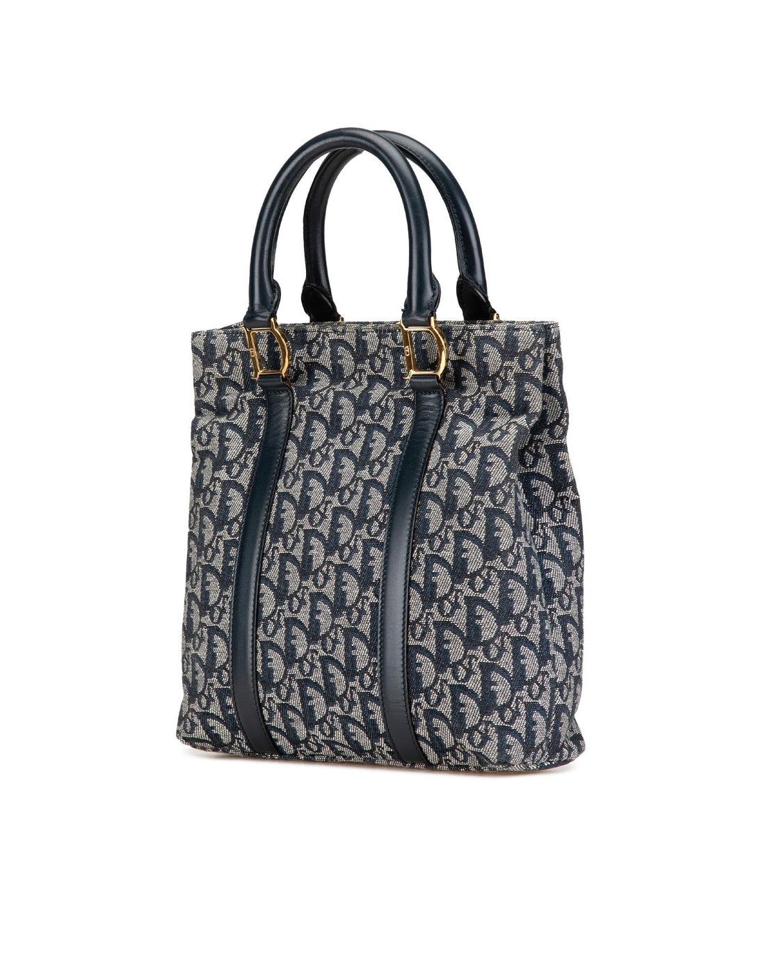Oblique Trotter Canvas Tote Bag with Leather Handles
