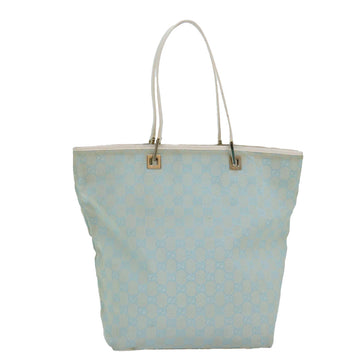 GG Plus Tote Light Blue Model