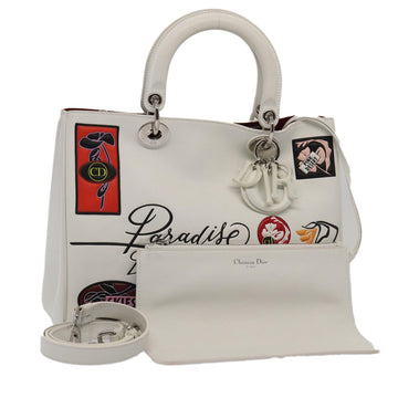Dior Book Tote Paradise Bag