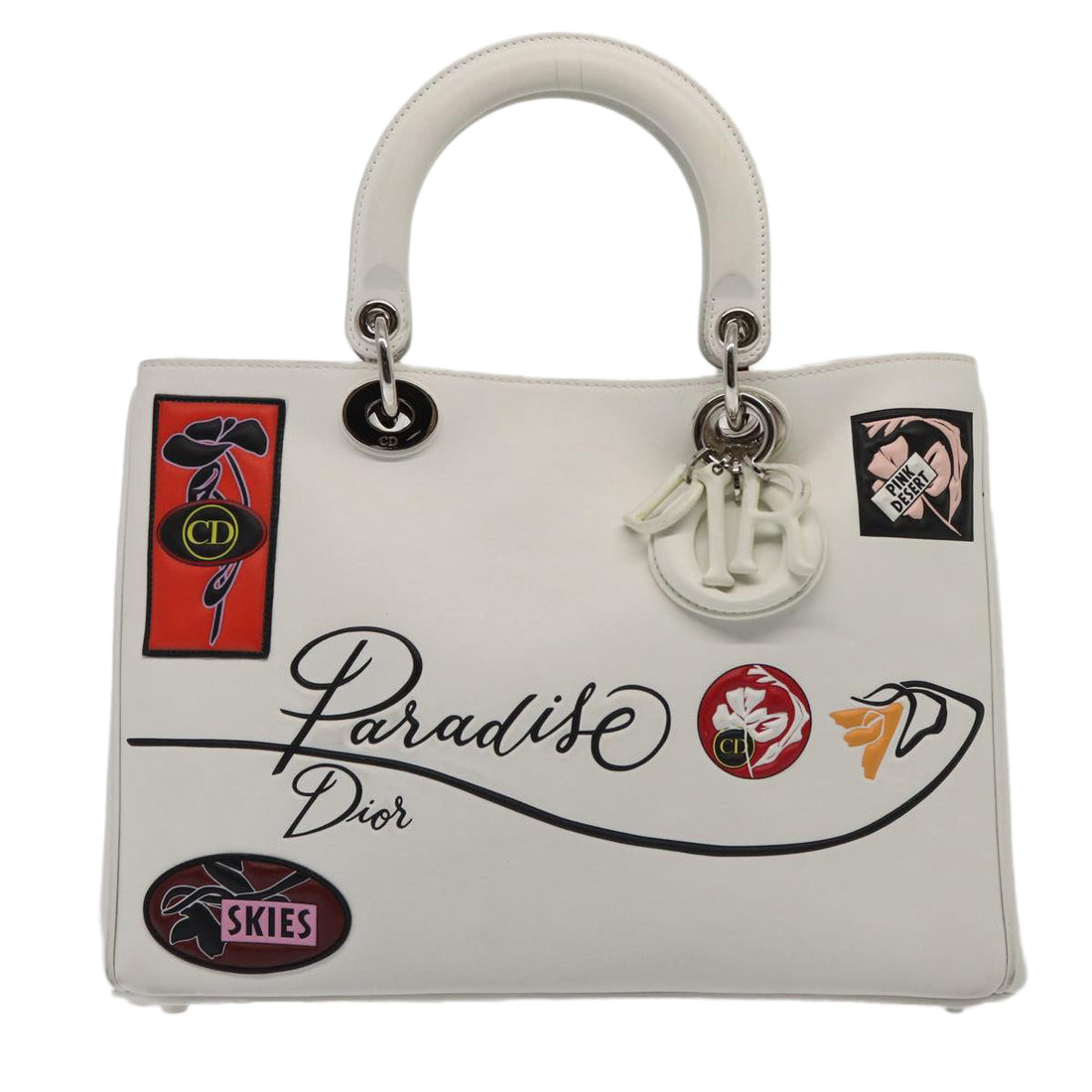 Dior Book Tote Paradise Bag