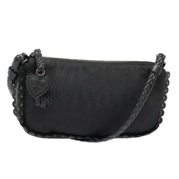 Black Dior Shoulder Bag ModelBlack