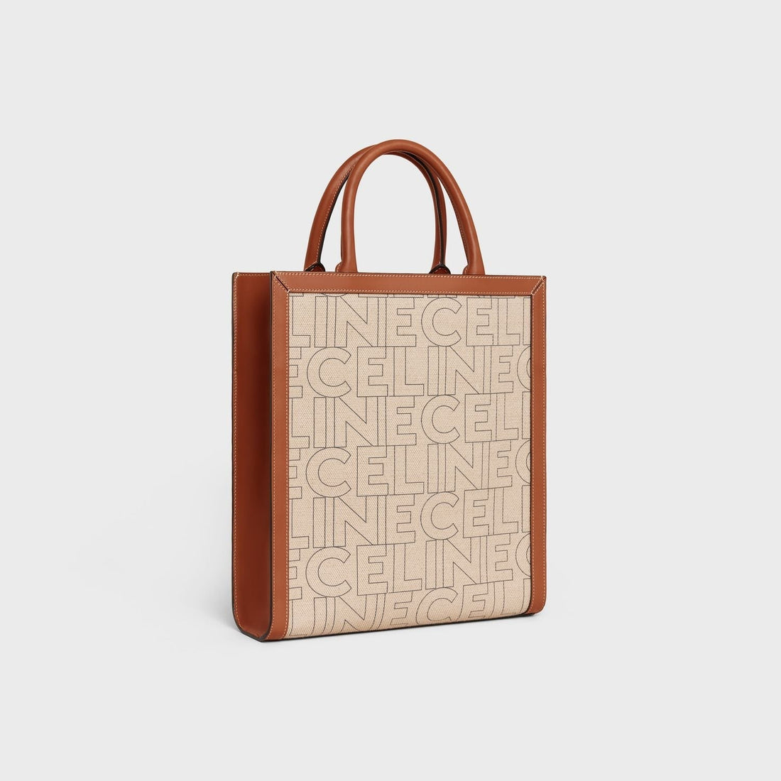 CABAS SMALL VERTICAL TOTE
