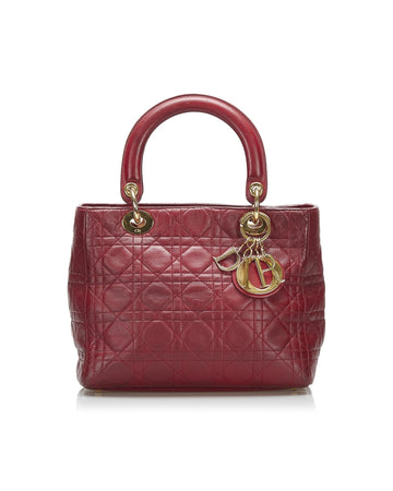 Diorama Quilted Leather Handbag