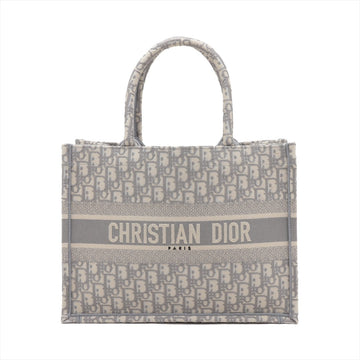 Christian Dior Book Tote Small Linen Tote Bag