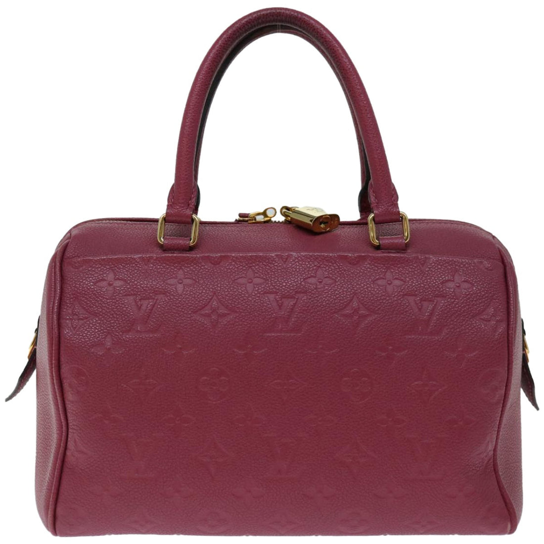 Louis Vuitton Speedy 25  Canvas Tote Bag ()