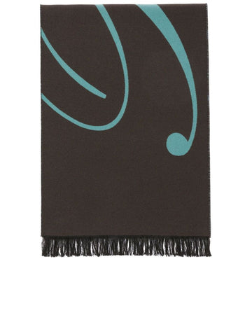 Twotone Fringe Scarf