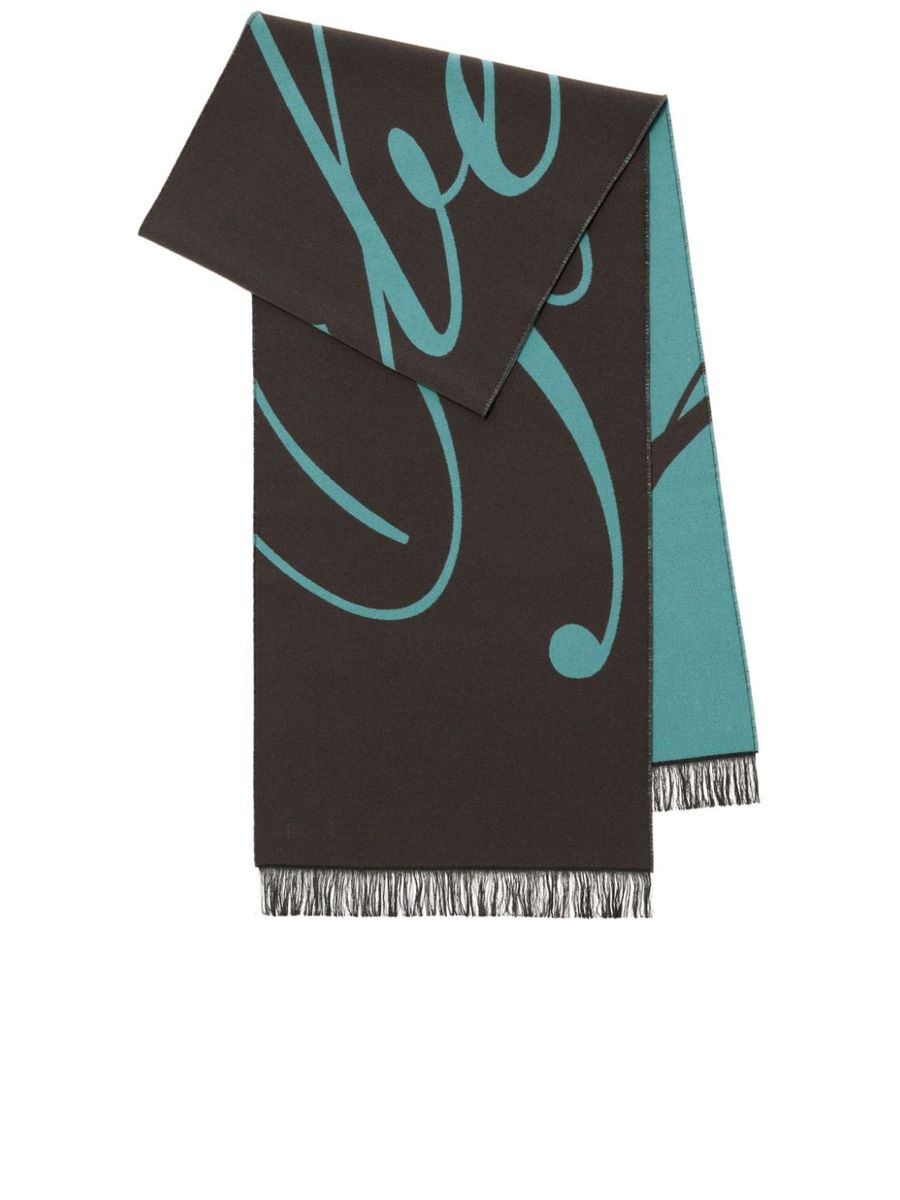 Twotone Fringe Scarf
