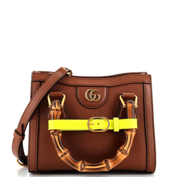 Diana NM Bamboo Handle Tote Leather Mini