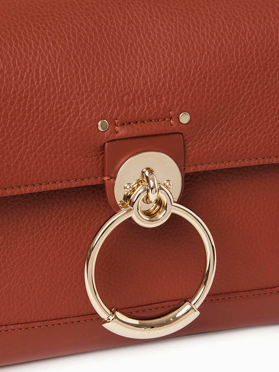 Mini Tess Day Bag in Sepia Brown