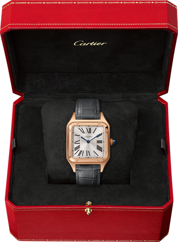 Cartier Santos-Dumont WGSA0021