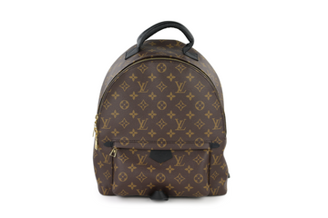 Monogram Palm Springs MM Backpack