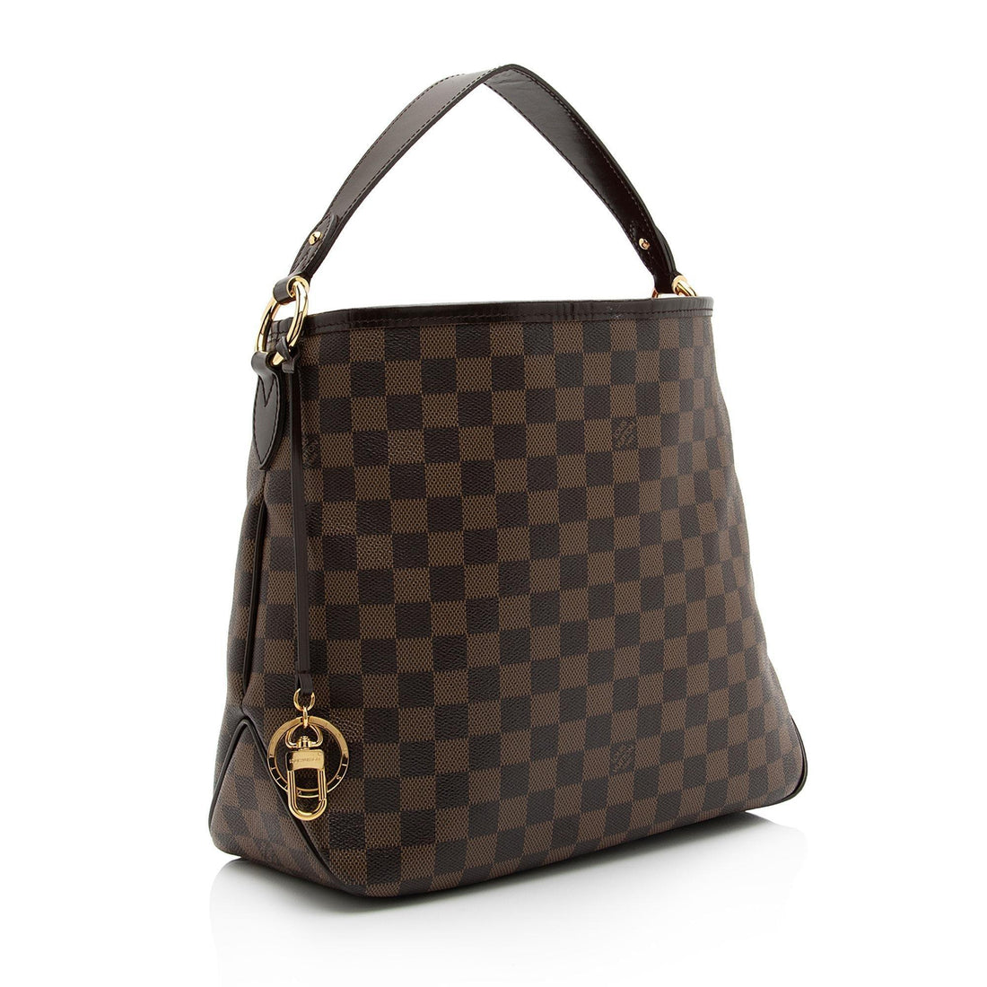 LV Damier Ebene Delightful PM Shoulder Bag