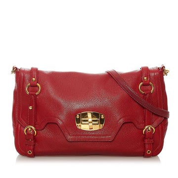 Miu Miu Leather Crossbody Bag