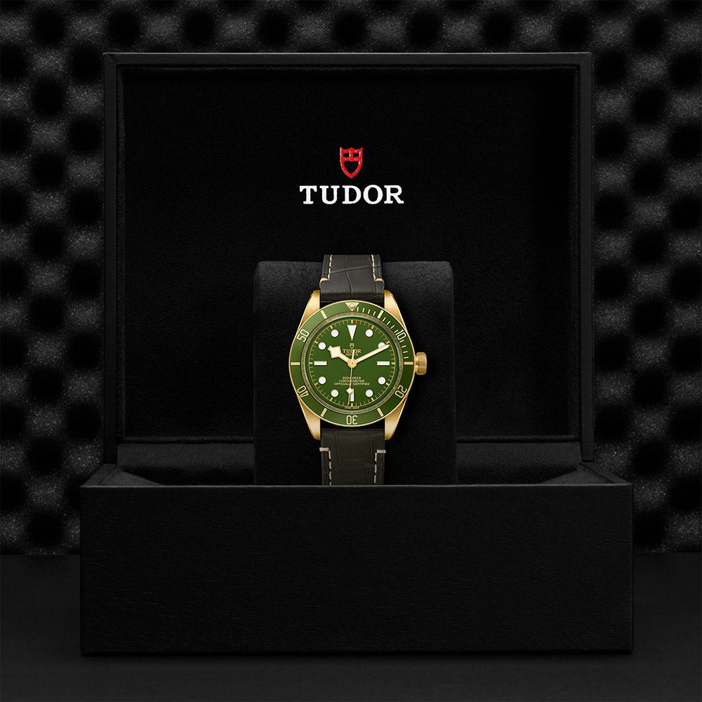 TUDOR Black Bay Fifty-Eight 18ct M79018V-0001