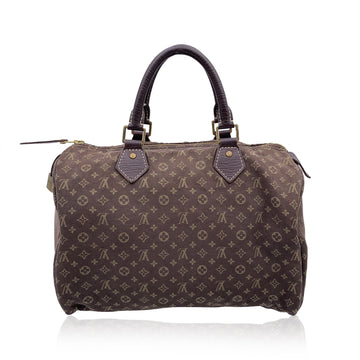 Louis Vuitton Handbag Speedy