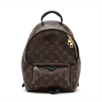 Louis Vuitton Monogram Palm Springs Backpack PM M41560