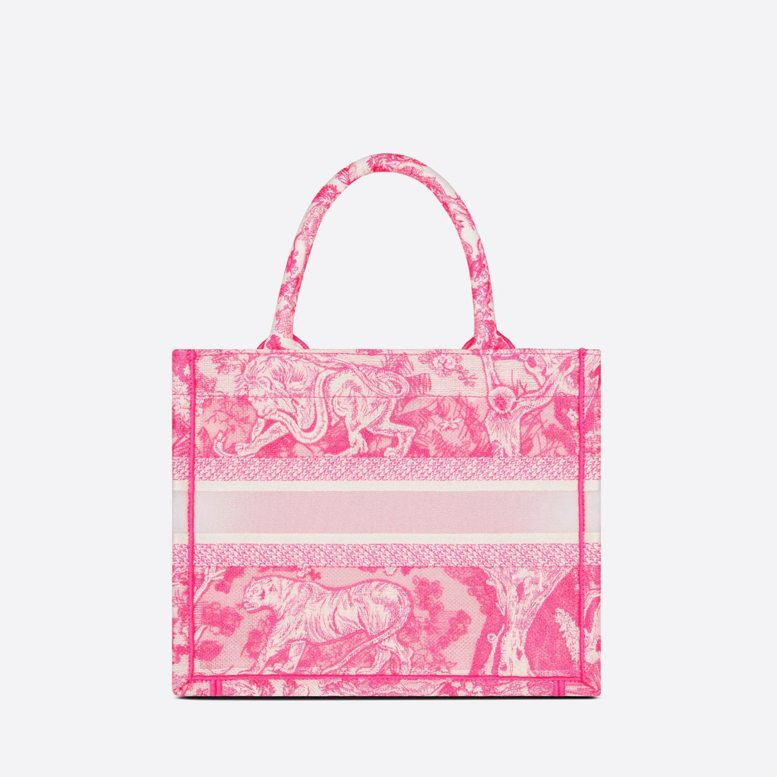 SMALL DIOR BOOK TOTE