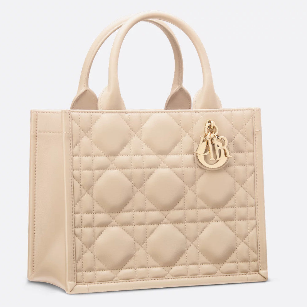 Small Dior Book Tote