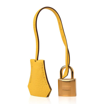 Hermes Birkin 25 Bag Jaune de Naples Novillo Gold Hardware