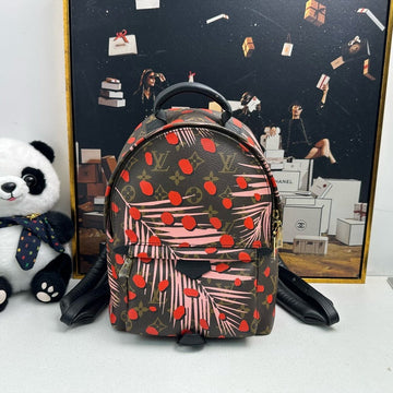 Louis Vuitton Palm Springs Backpack Brown Multicolor