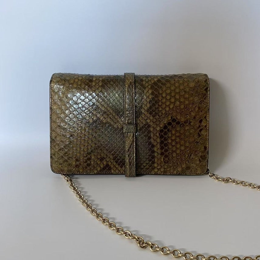 Gucci Python Brown Chain Shoulder Bag